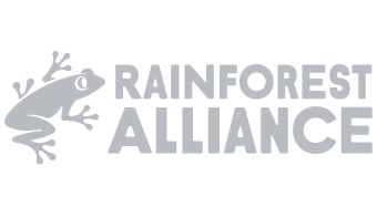 Rainforest Alliance